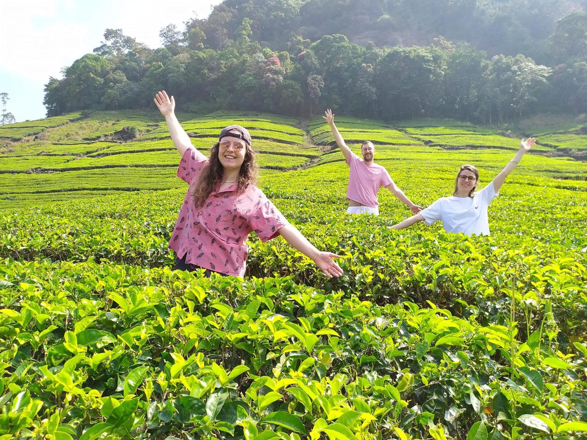 Forestscape Resort Munnar Exterior foto